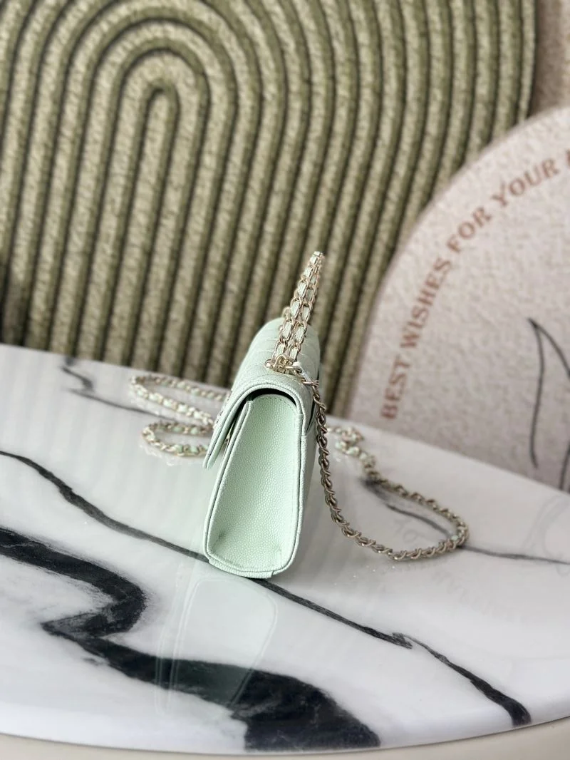 Chanel Other Stachel Bags Classic 52774