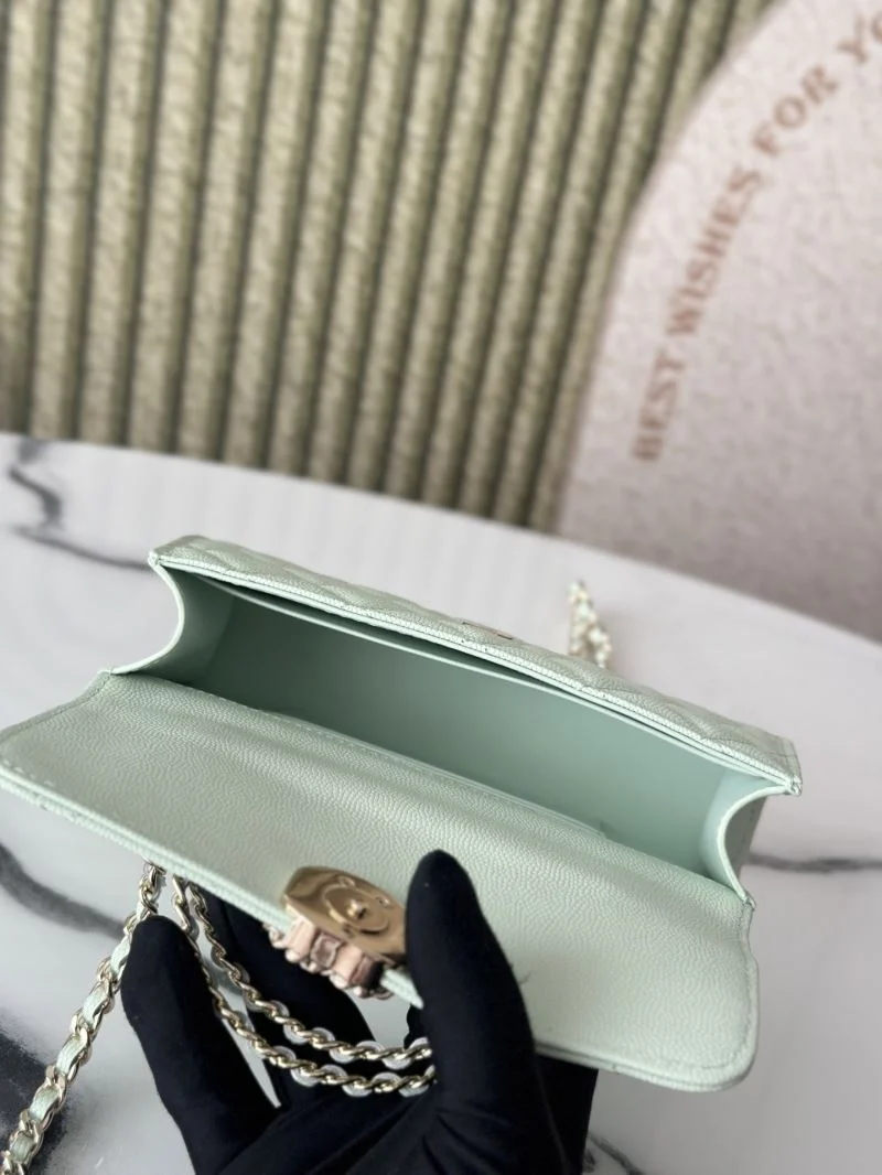 Chanel Other Stachel Bags Classic 52774