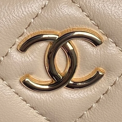 Resilient Chanel Other Stachel Bags 52712