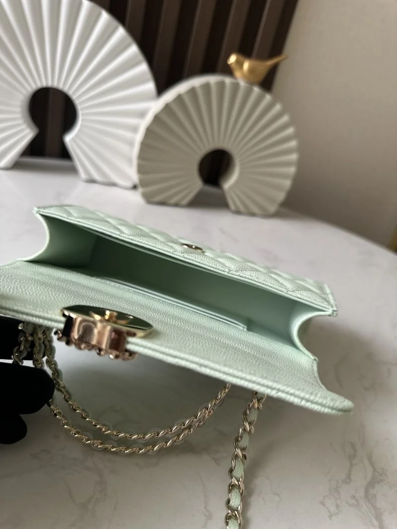 WeatherProof Chanel Other Stachel Bags 52703