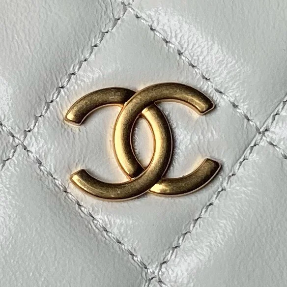 WeatherProof Chanel Stachel Bags 54481