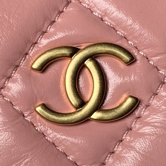 Chanel Stachel Bags Minimalist 54478