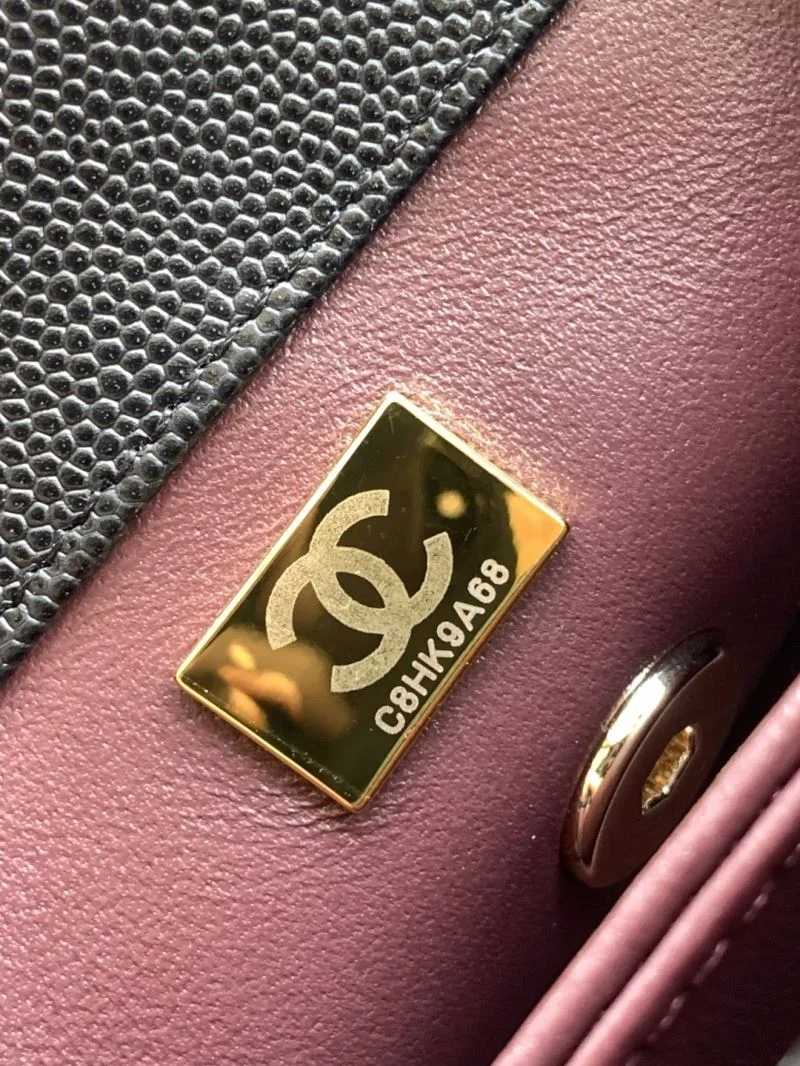 EyeCatching Chanel Top Handle Bags 53852