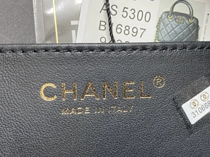 Cozy Chanel Top Handle Bags 52498