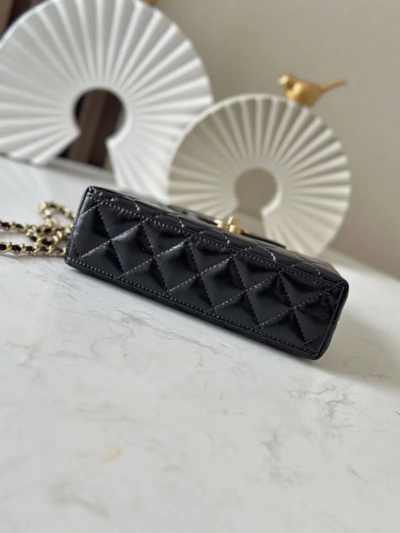 ZeroBulk Chanel Top Handle Bags 52497