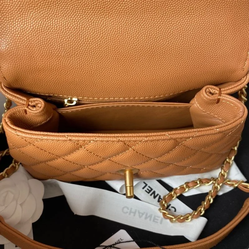 Chanel Top Handle Bags Sophisticated 52541
