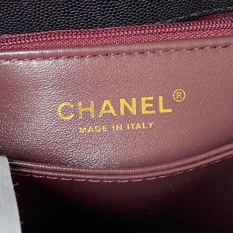 DailyWear Chanel Top Handle Bags 52499