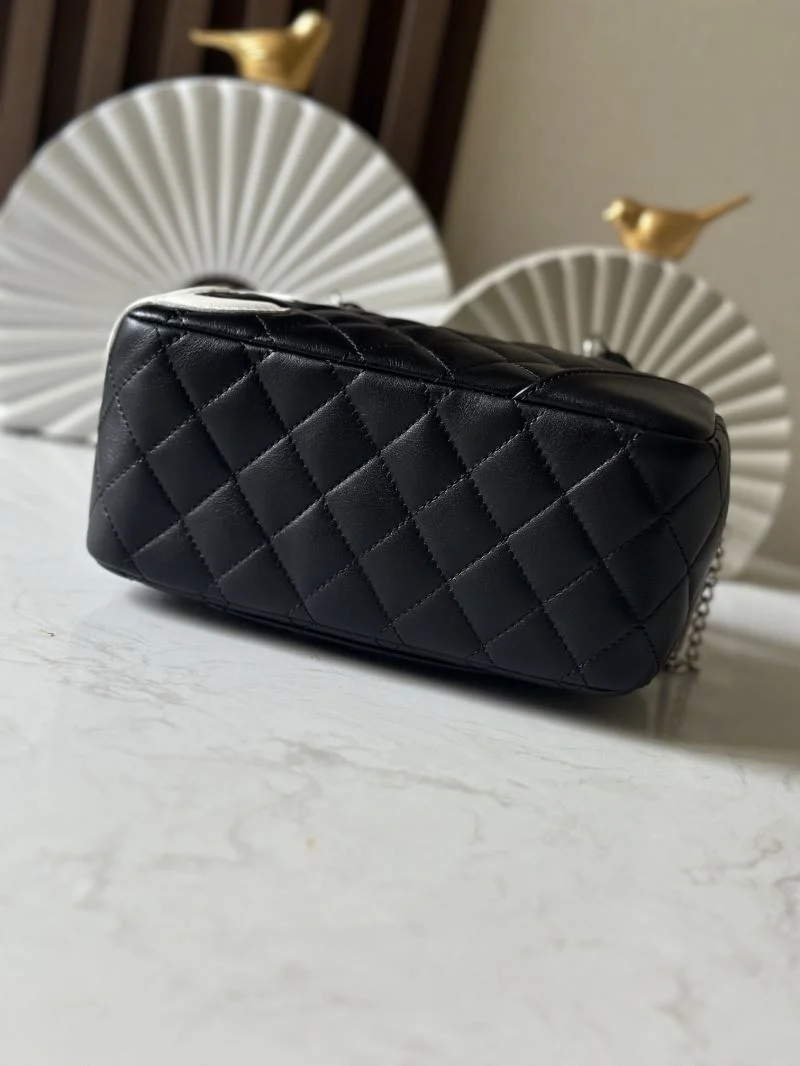 WaterResistant Chanel Top Handle Bags 52466