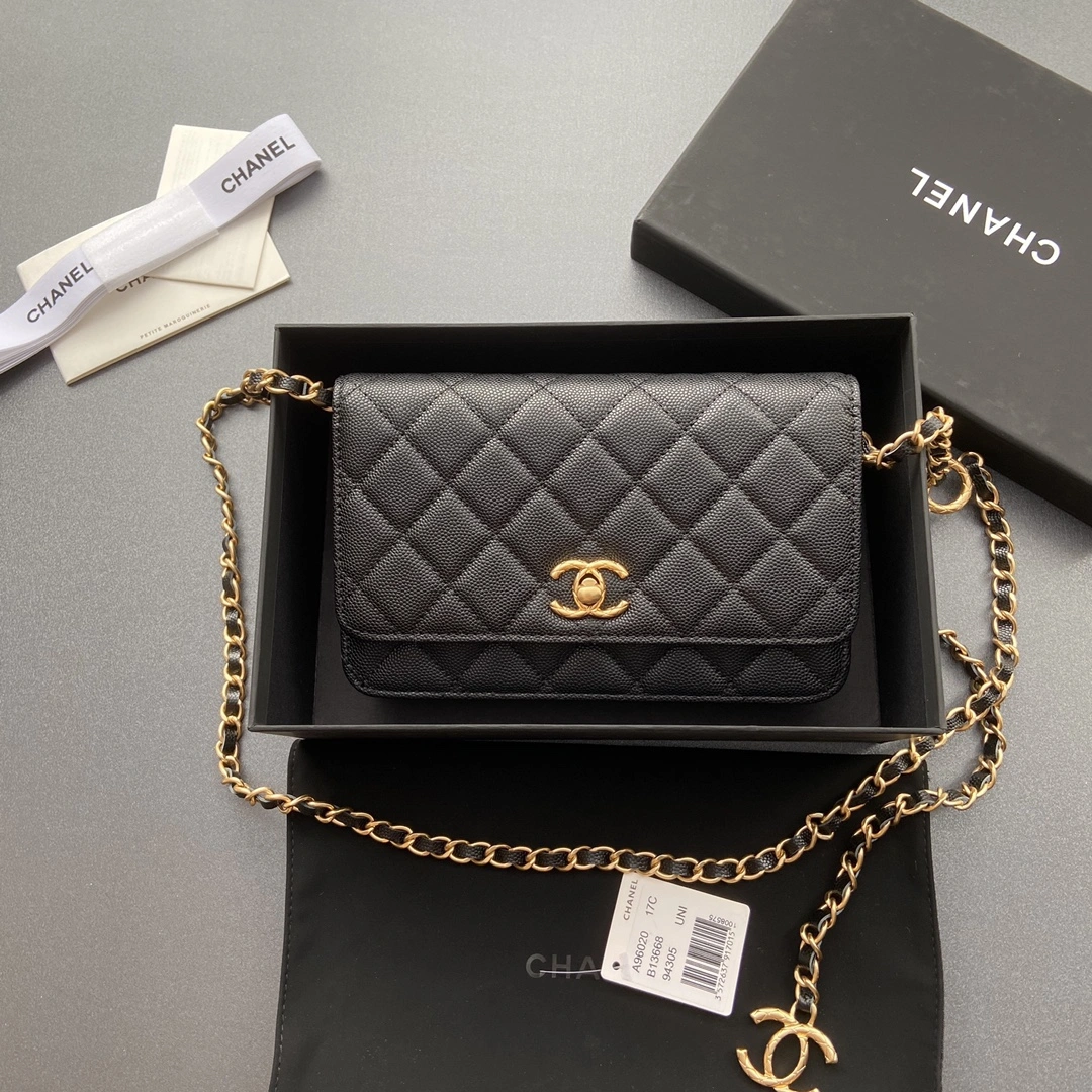 AllSeason Chanel WOC Bags 56434