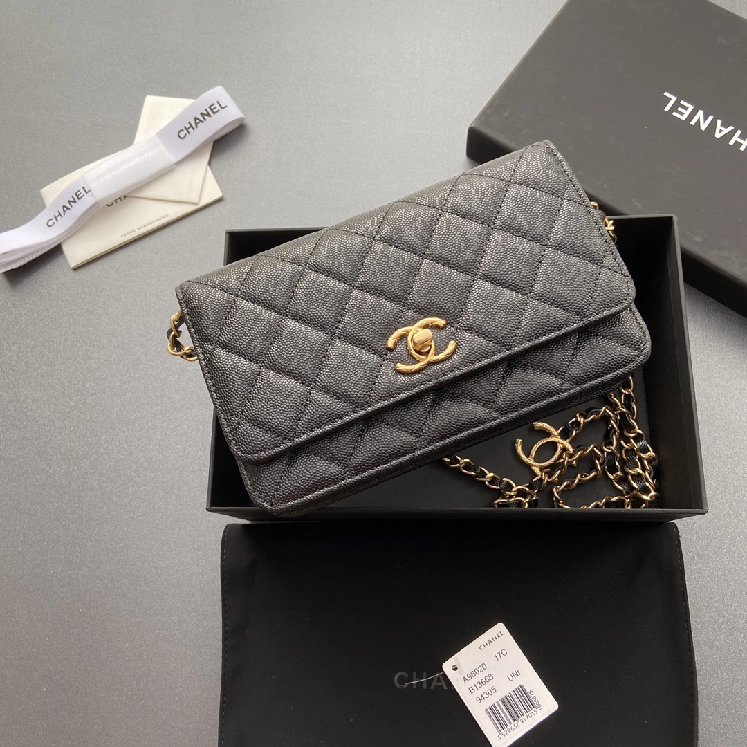 AllSeason Chanel WOC Bags 56434