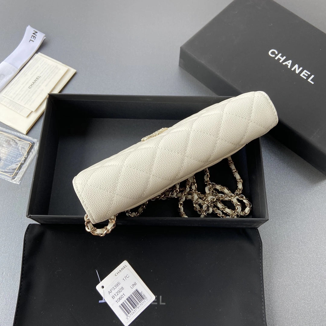 Breathable Chanel WOC Bags 56387