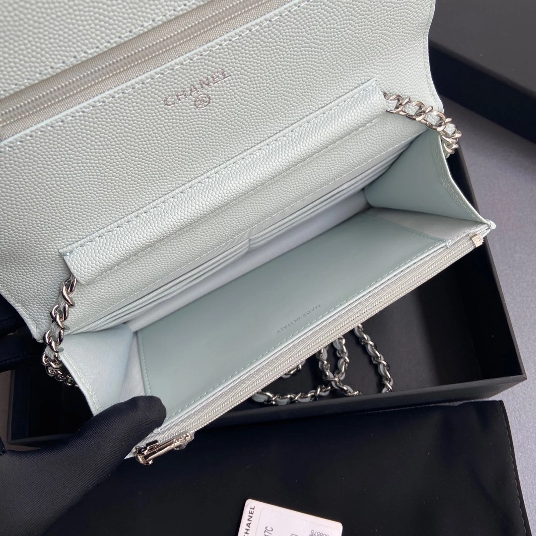 Chanel WOC Bags TopPick 56375