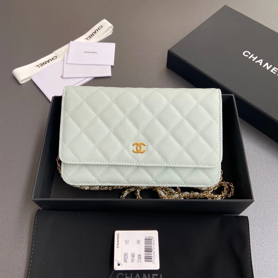 ModernLook Chanel WOC Bags 56378