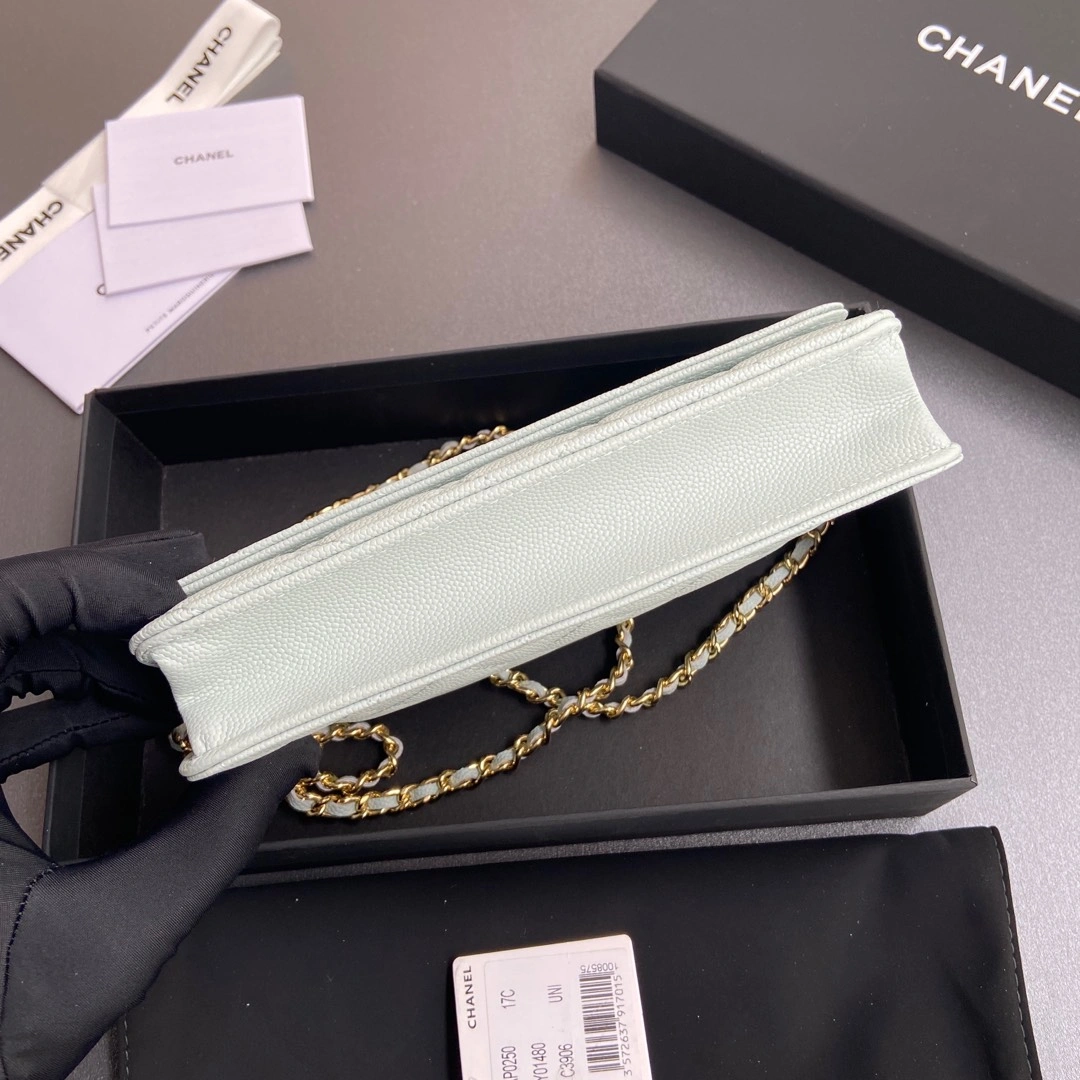 ModernLook Chanel WOC Bags 56378