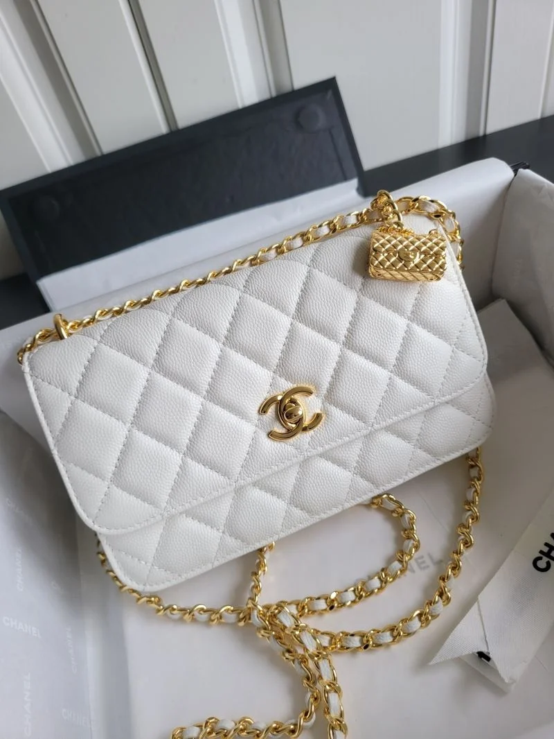 Soft Chanel WOC Bags 54188