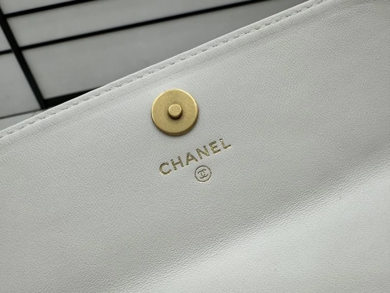 Chanel WOC Bags Lightweight 54177