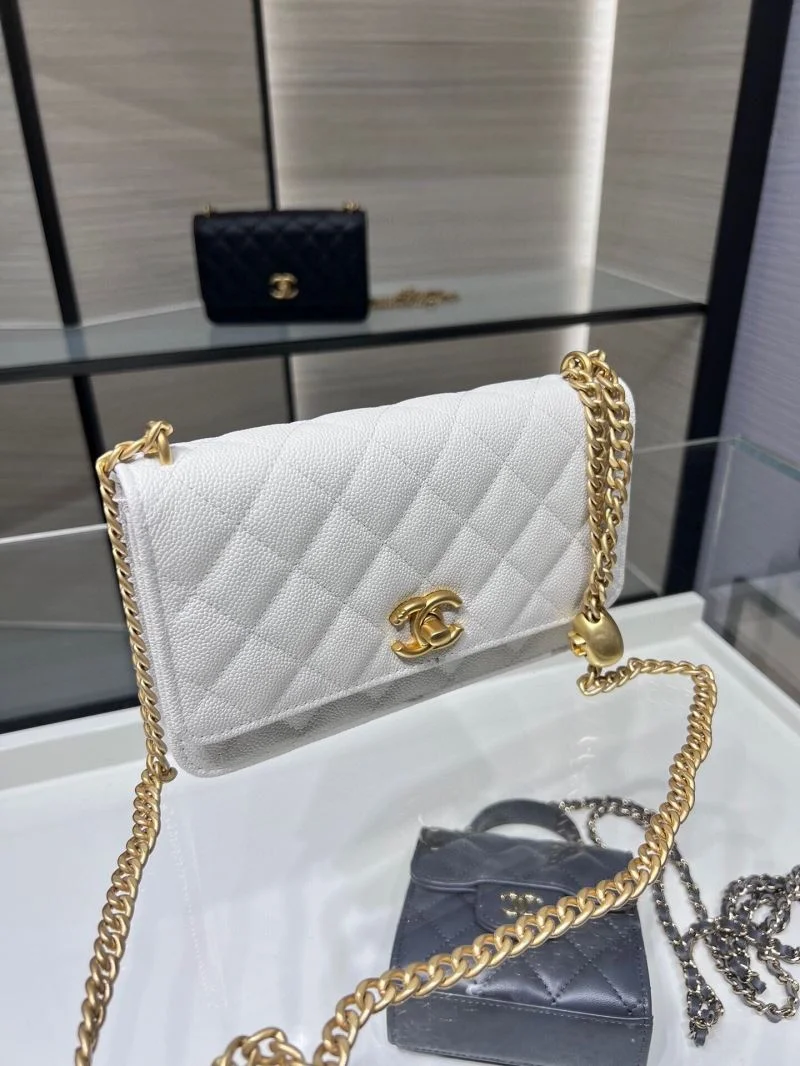 Chanel WOC Bags Sleek 54162
