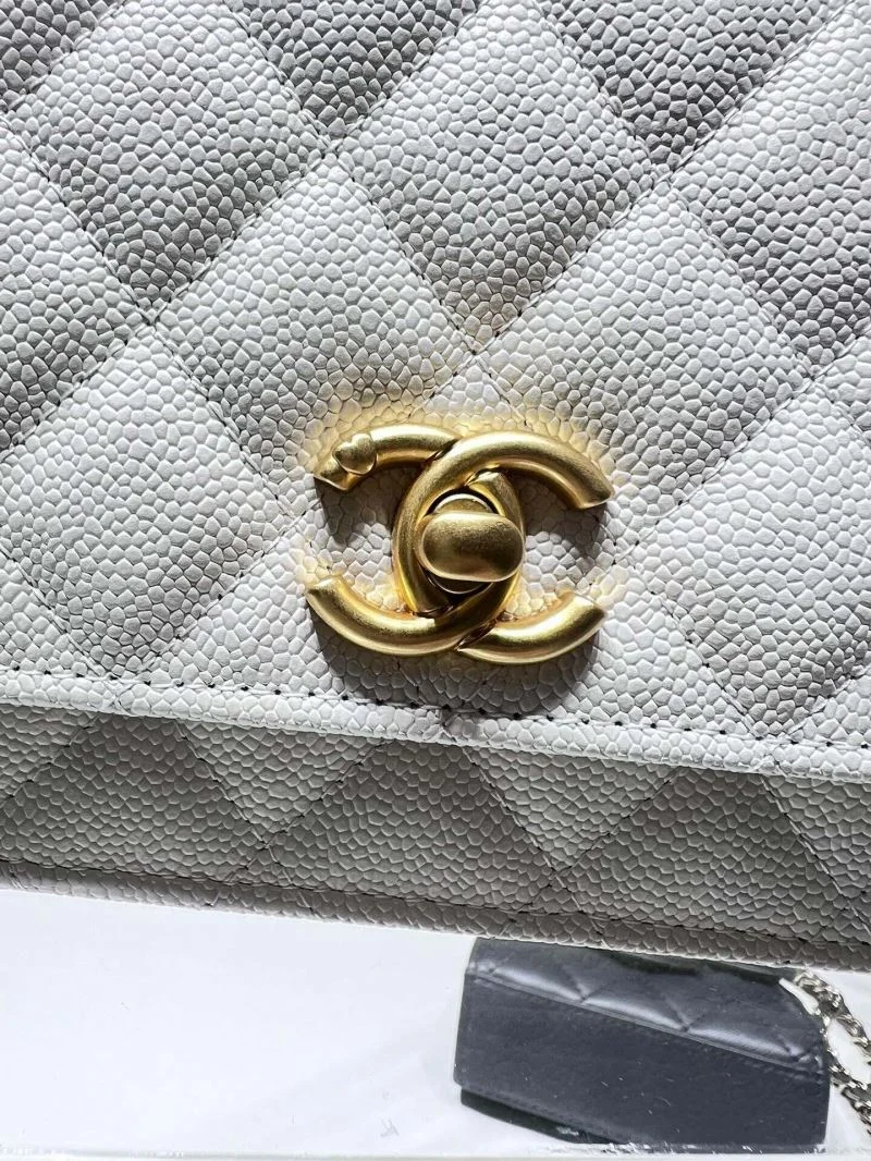 Chanel WOC Bags Sleek 54162