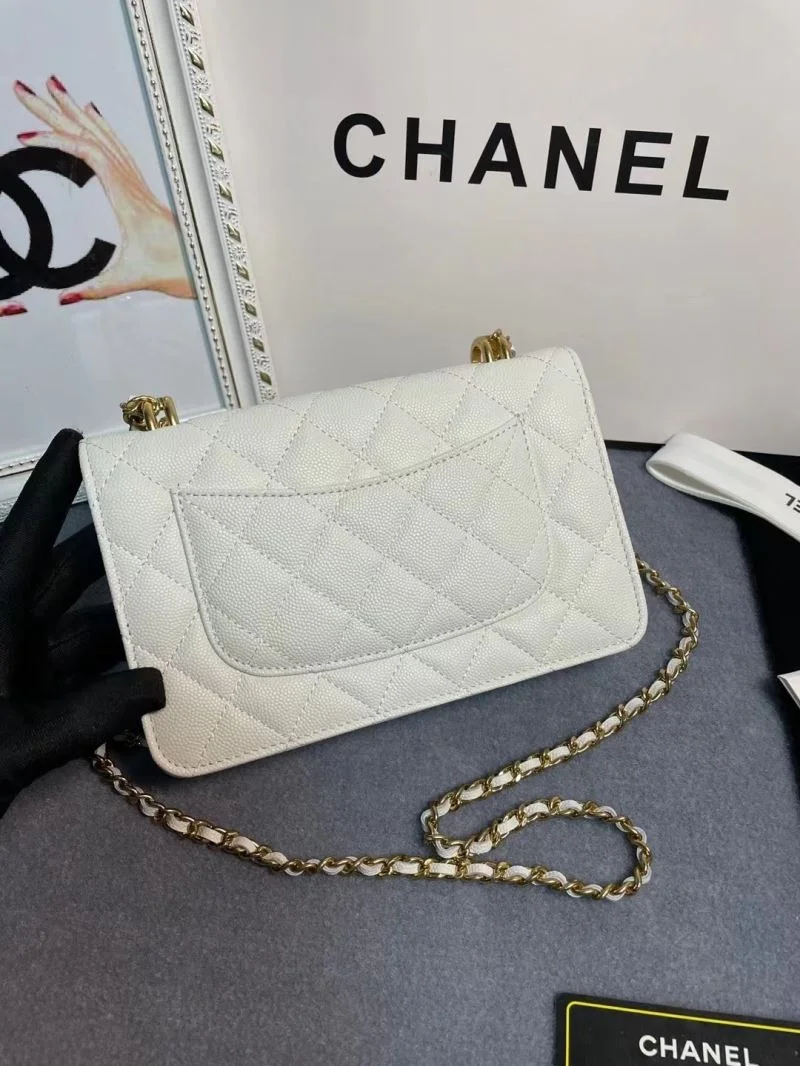 Chanel WOC Bags EasyCare 54192