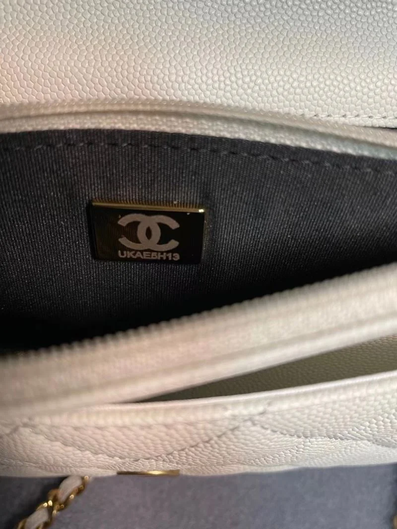 Chanel WOC Bags EasyCare 54192