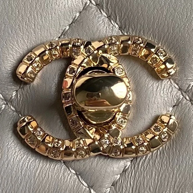 Chanel WOC Bags Practical 54166