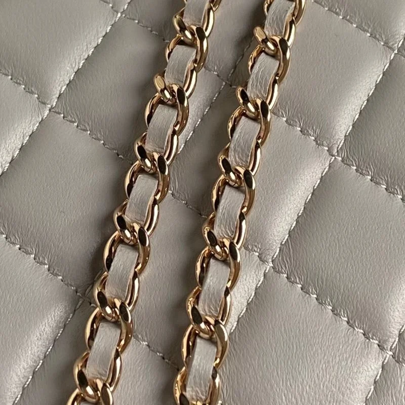 Chanel WOC Bags Practical 54166