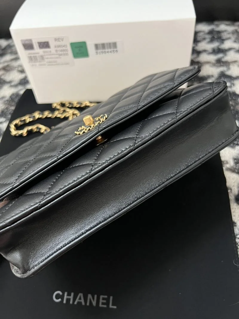 WrinkleFree Chanel WOC Bags 54187
