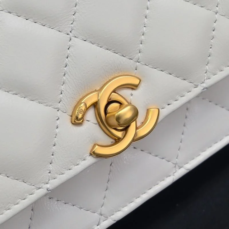Resilient Chanel WOC Bags 54150