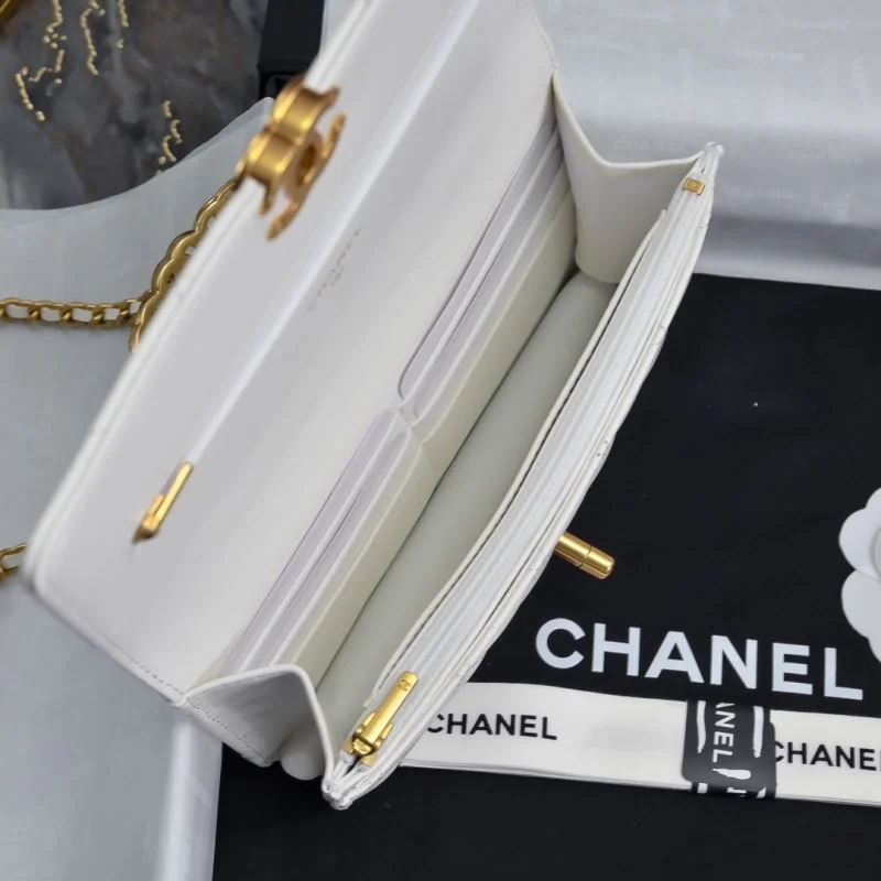 Resilient Chanel WOC Bags 54150