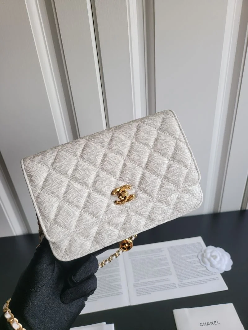 WeatherProof Chanel WOC Bags 54171