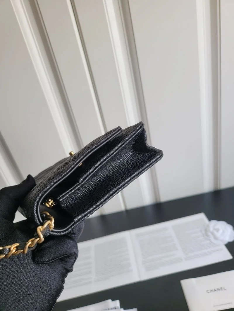 Chanel WOC Bags SunProtective 54146