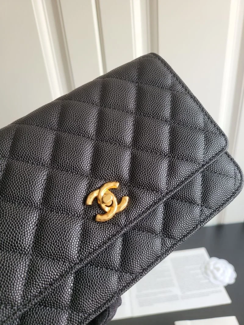 Chanel WOC Bags SunProtective 54146