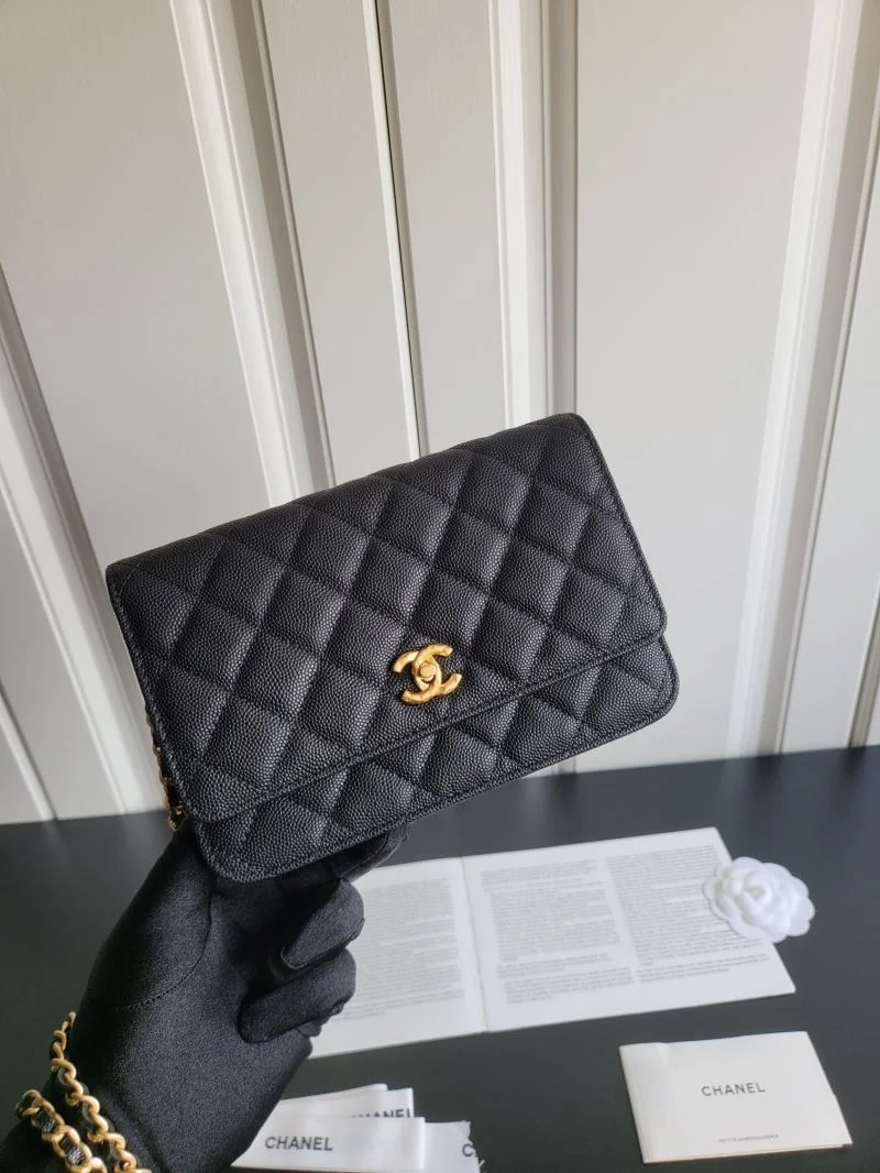 Chanel WOC Bags SunProtective 54146