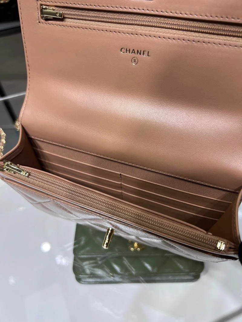 Chanel WOC Bags WaterResistant 54137