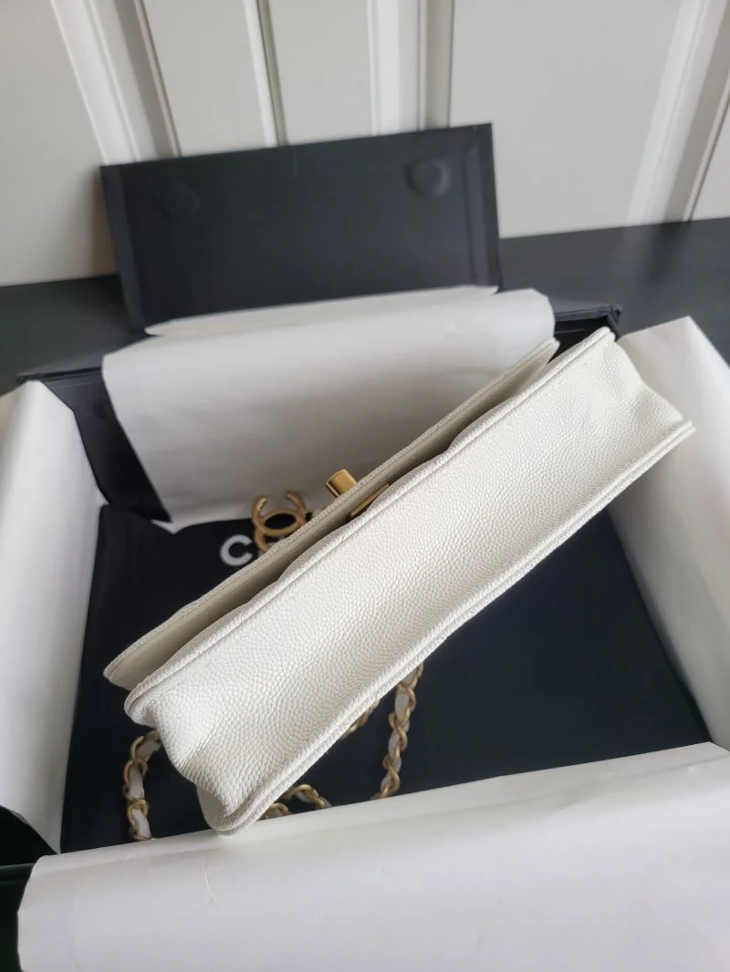 WellDesigned Chanel WOC Bags 54132