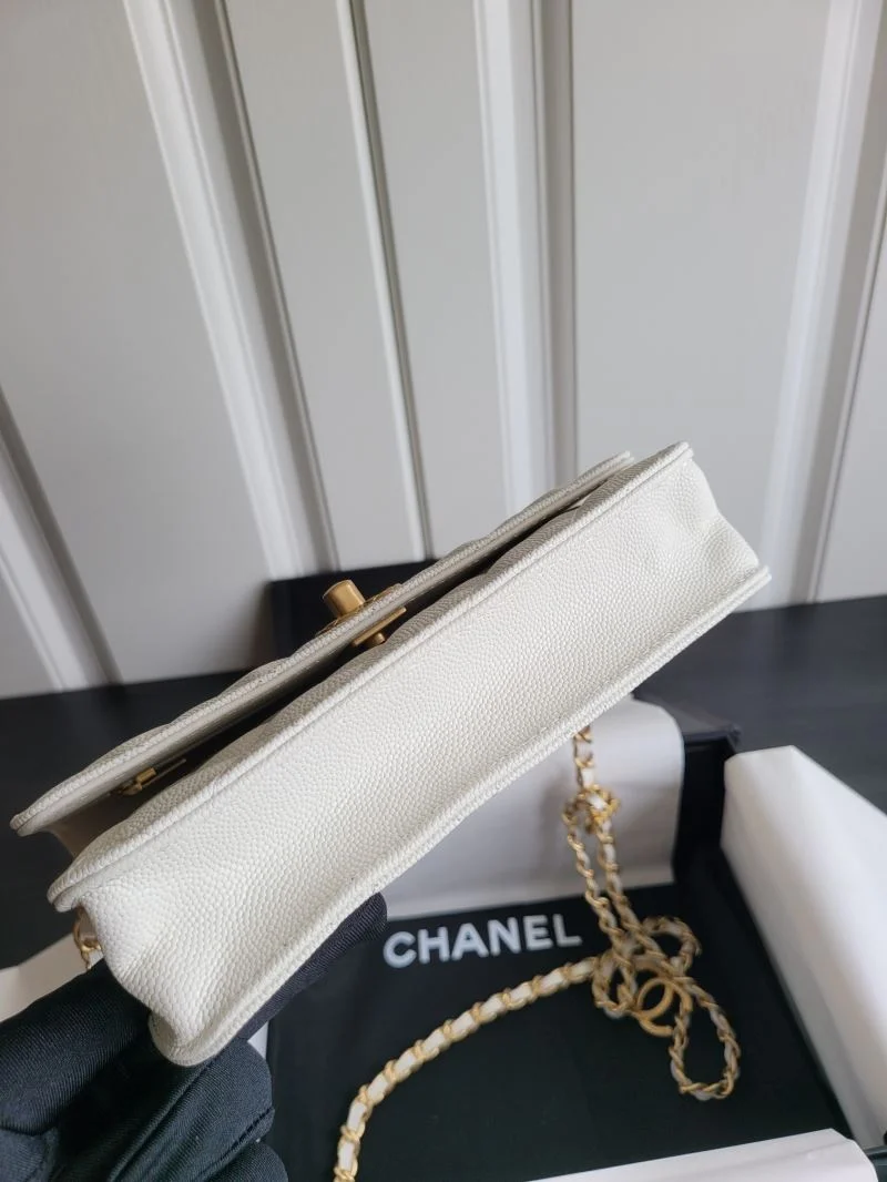 WellDesigned Chanel WOC Bags 54132