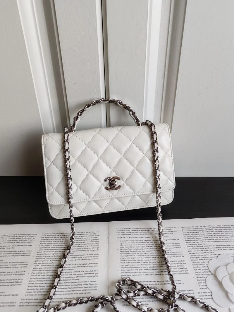 Chanel WOC Bags WrinkleFree 54161