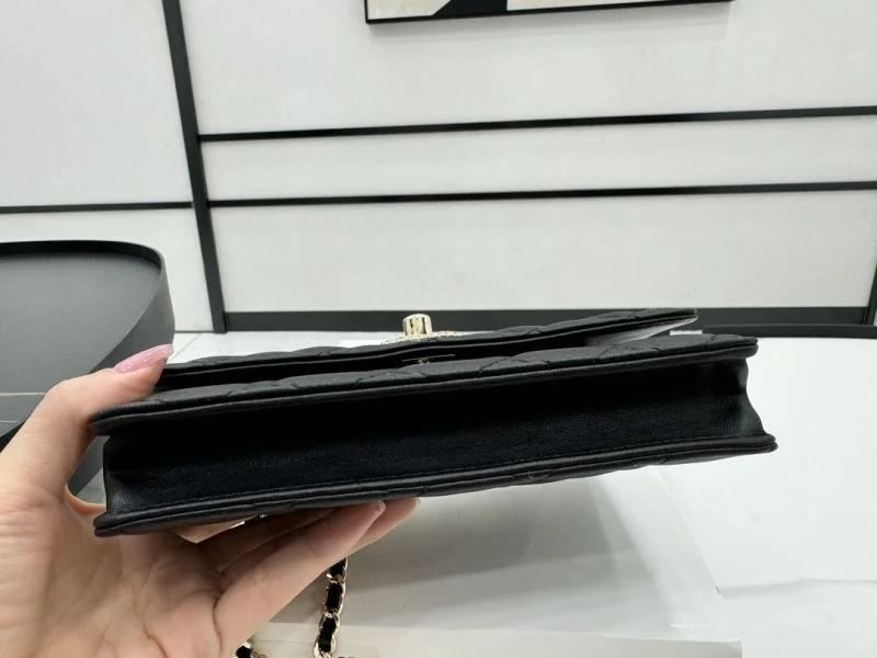 Sophisticated Chanel WOC Bags 54133
