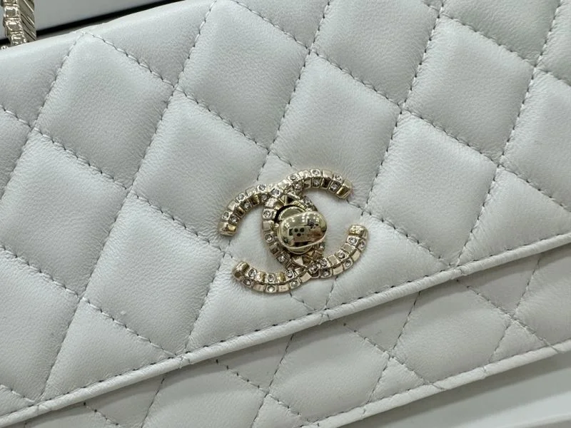 Chanel WOC Bags FastDry 54163