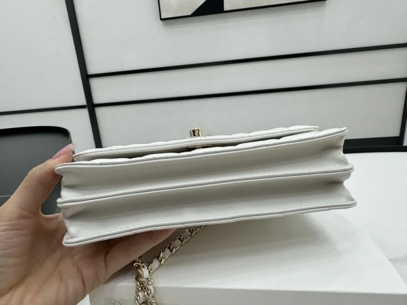 Chanel WOC Bags FastDry 54163