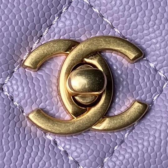 ZeroBulk Chanel Woc Bags 53824