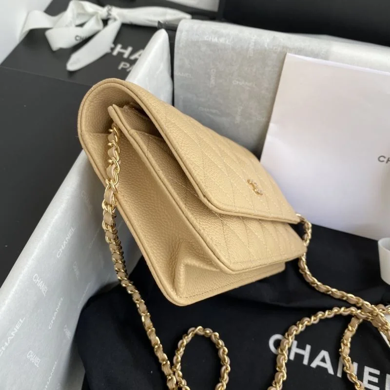 Seasonal Chanel Woc Bags 53772