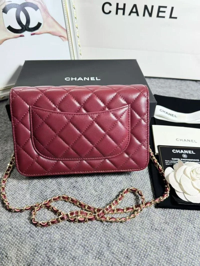 OdorResistant Chanel Woc Bags 52058