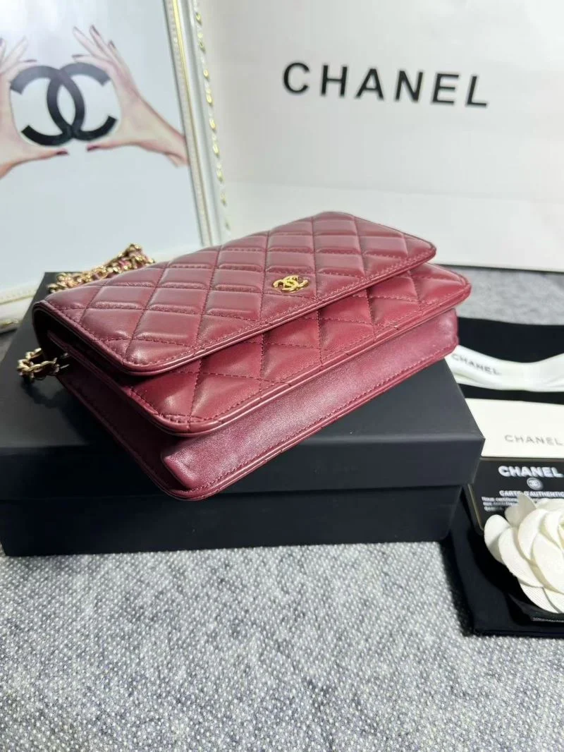 OdorResistant Chanel Woc Bags 52058