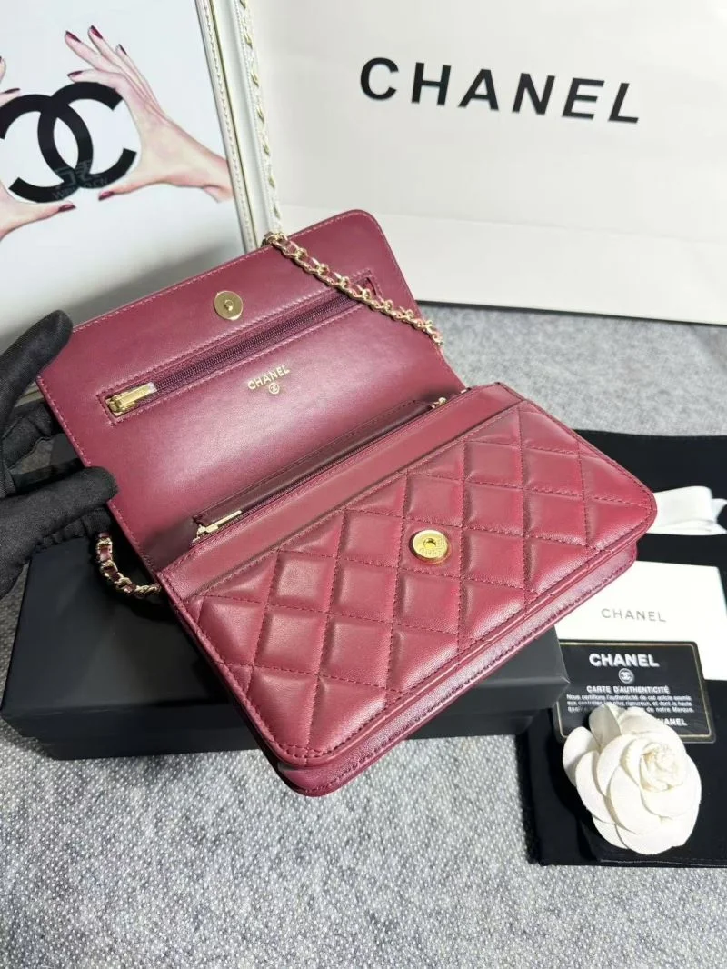 OdorResistant Chanel Woc Bags 52058