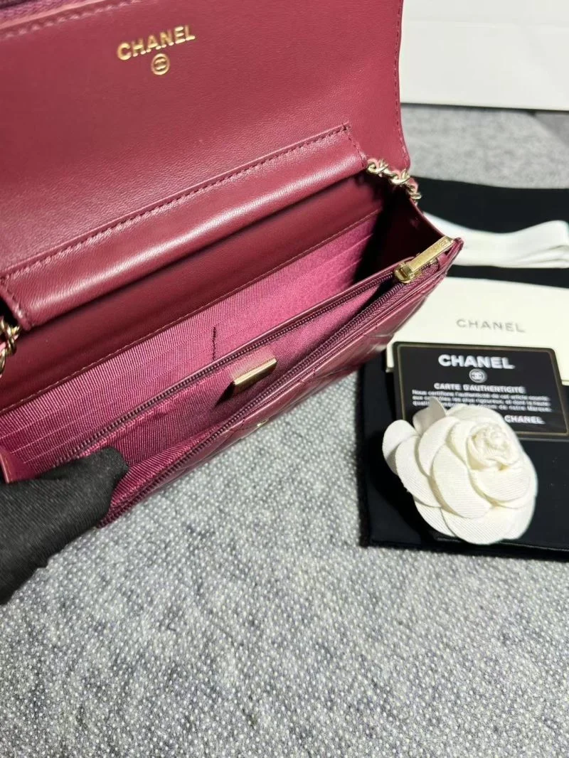 OdorResistant Chanel Woc Bags 52058