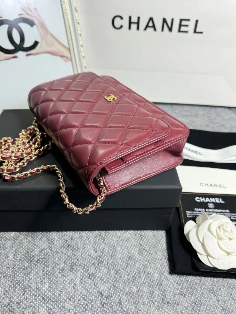 OdorResistant Chanel Woc Bags 52058