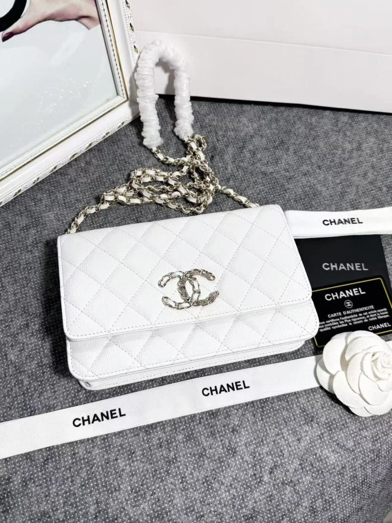 Chanel Woc Bags Thermal 52045