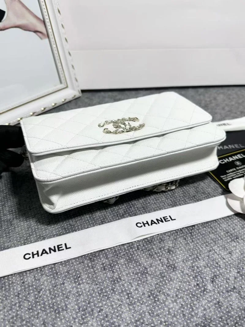 Chanel Woc Bags Thermal 52045