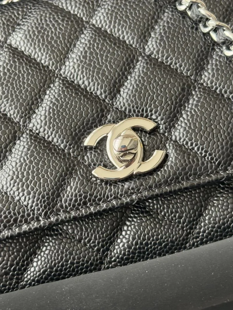 Attractive Chanel Woc Bags 52071